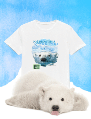 T-shirt z misiem polarnym